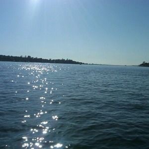 Meet your Posher, Kathie